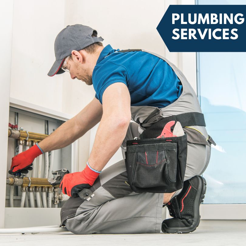 Buena Vista Plumbing Company